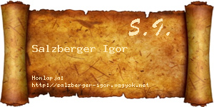 Salzberger Igor névjegykártya
